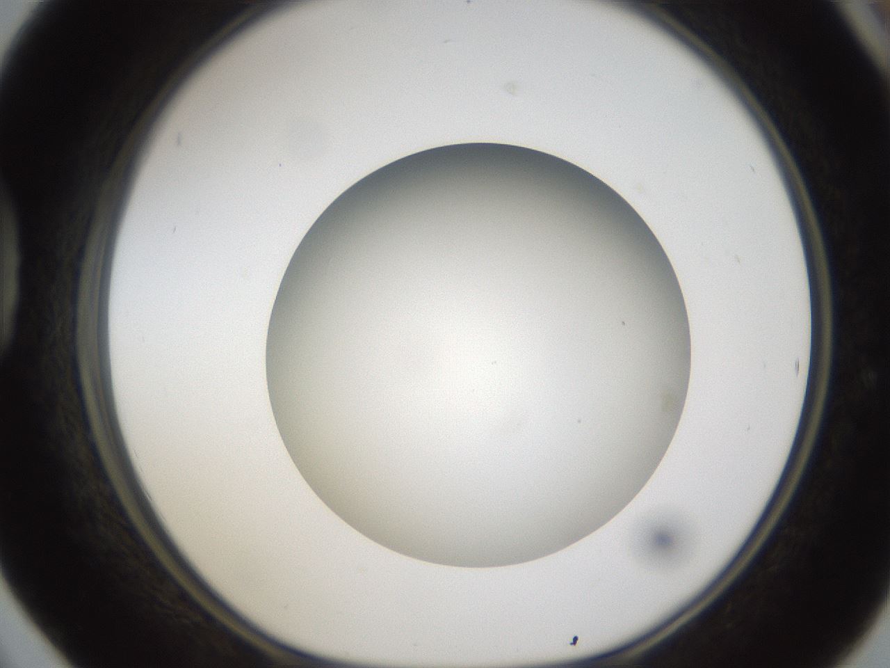 folderID302_plateID1302_batchID4299_wellNum42_profileID1_d1_r78337_ef.jpg