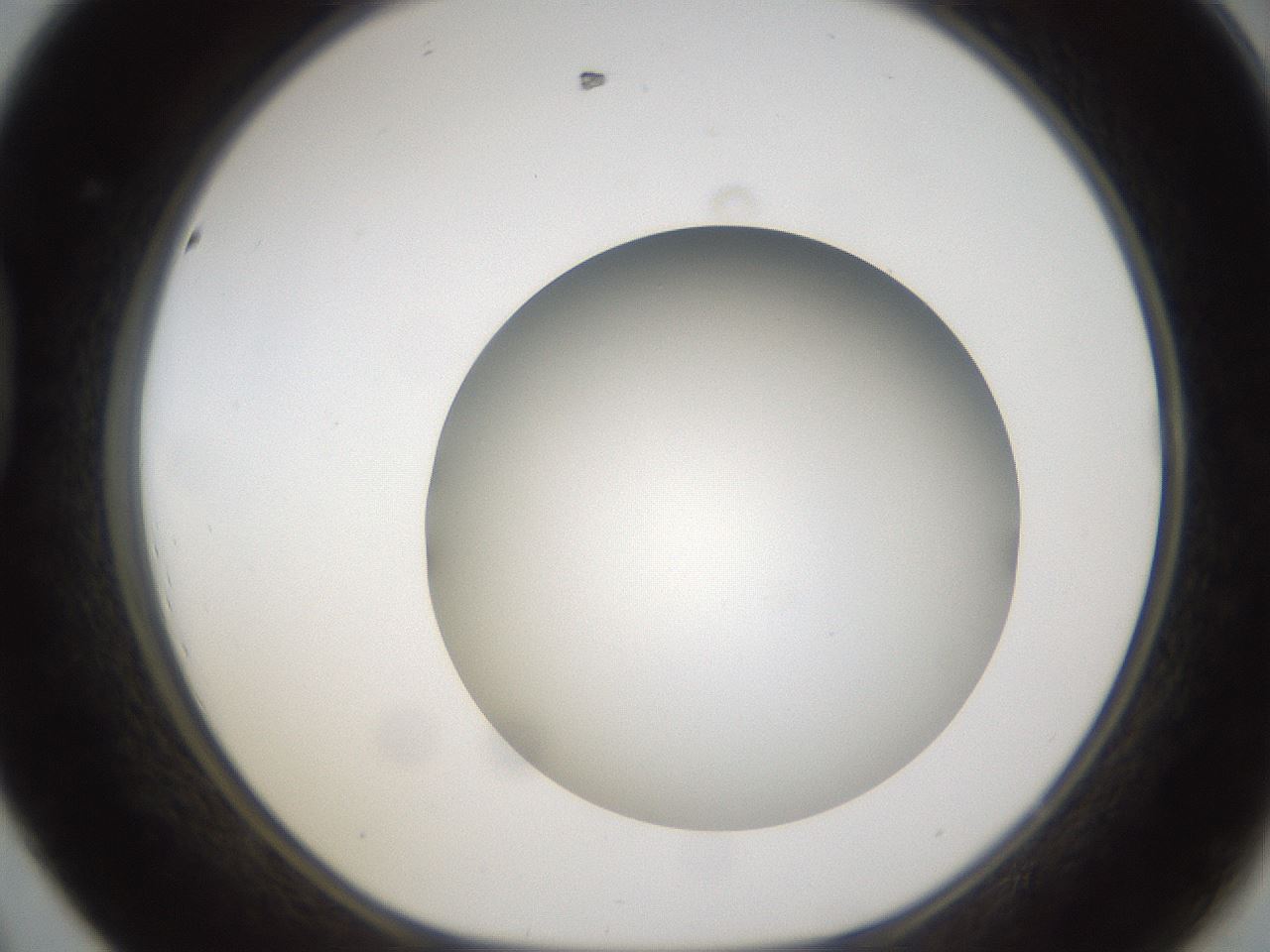 folderID302_plateID1302_batchID4299_wellNum44_profileID1_d1_r78339_ef.jpg