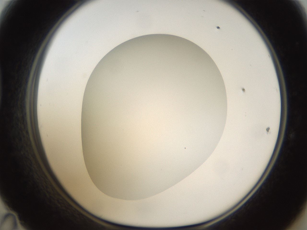 folderID302_plateID1302_batchID4299_wellNum47_profileID1_d1_r78342_ef.jpg