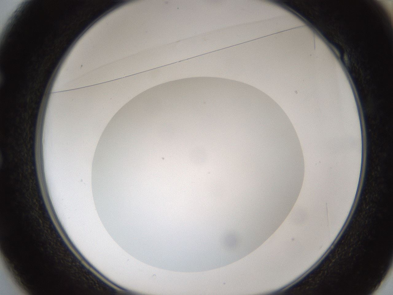folderID302_plateID1302_batchID4299_wellNum49_profileID1_d1_r78344_ef.jpg