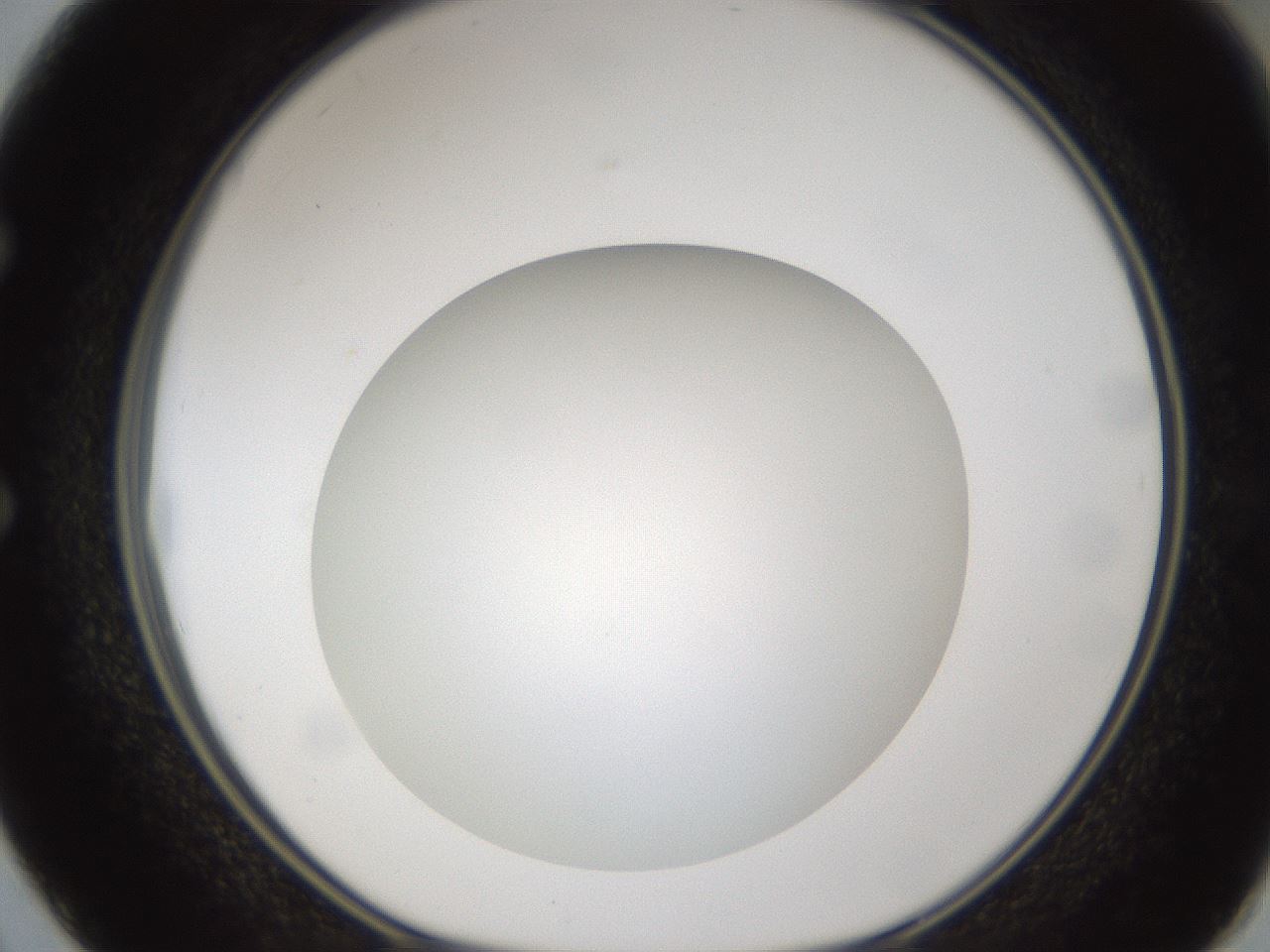 folderID302_plateID1302_batchID4299_wellNum50_profileID1_d1_r78345_ef.jpg