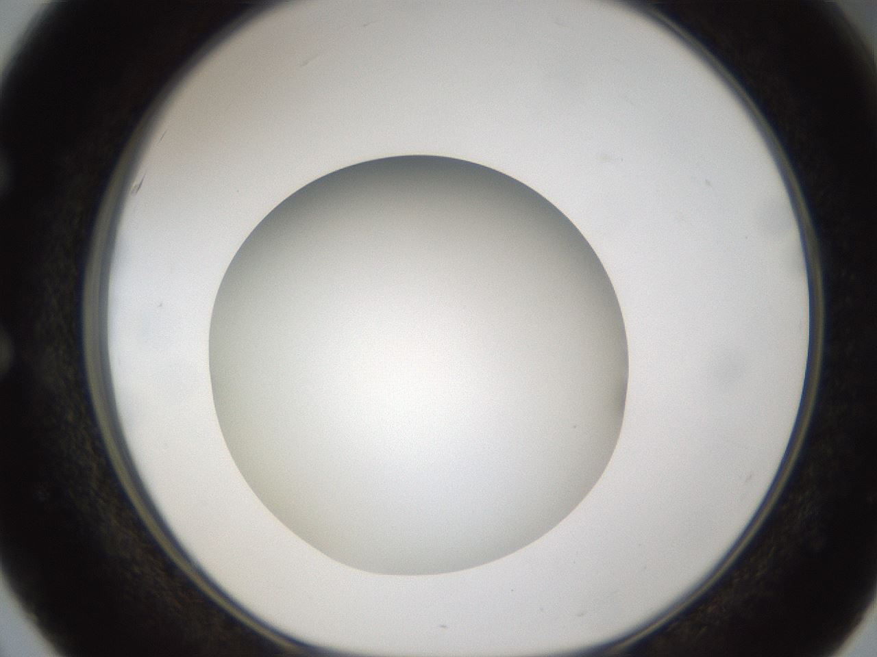 folderID302_plateID1302_batchID4299_wellNum51_profileID1_d1_r78346_ef.jpg
