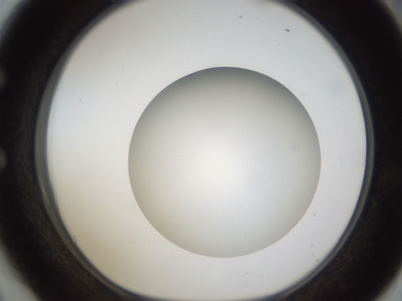 folderID302_plateID1302_batchID4299_wellNum54_profileID1_d1_r78349_ef.jpg