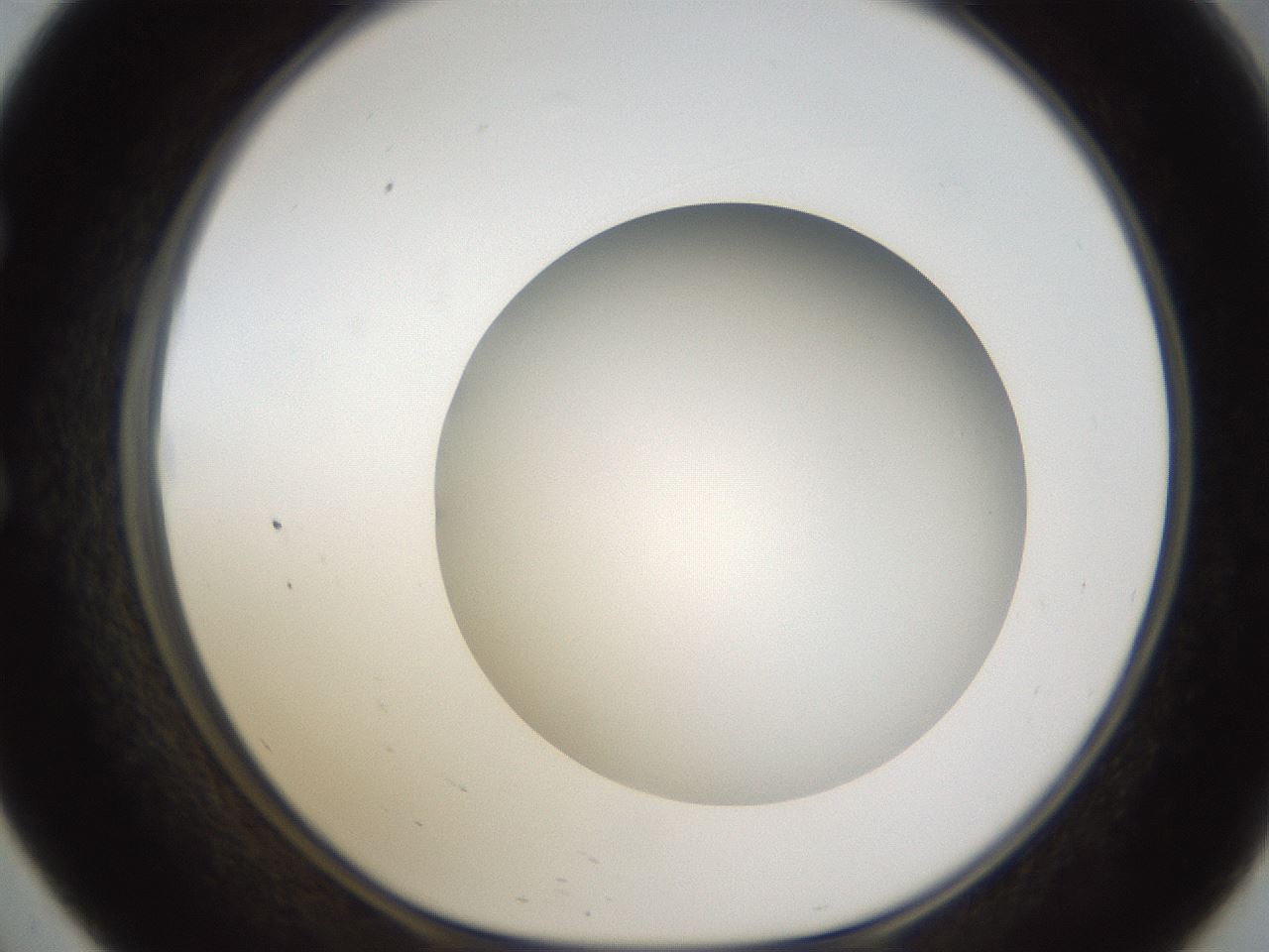 folderID302_plateID1302_batchID4299_wellNum57_profileID1_d1_r78352_ef.jpg