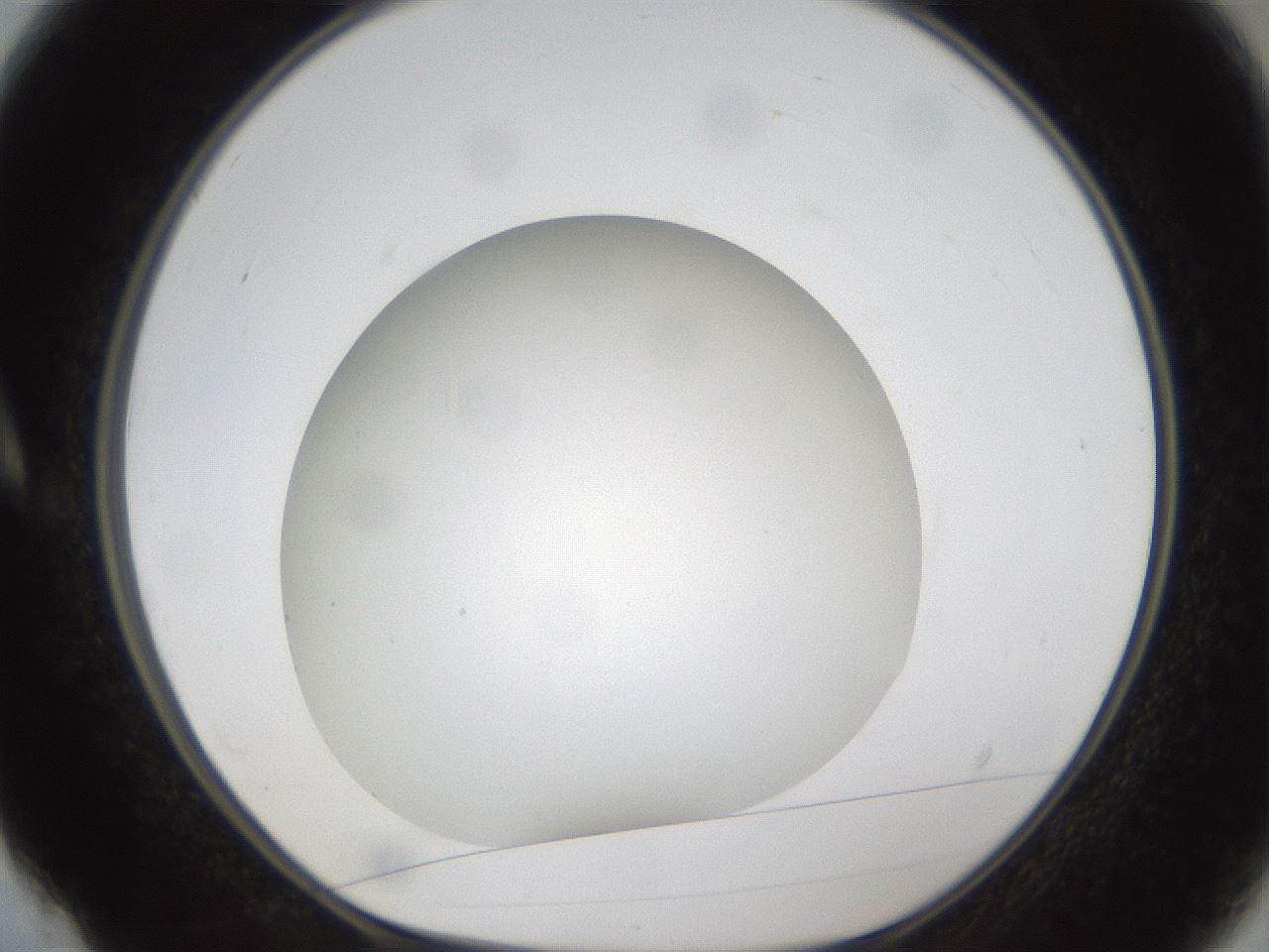 folderID302_plateID1302_batchID4299_wellNum4_profileID1_d1_r78299_ef.jpg