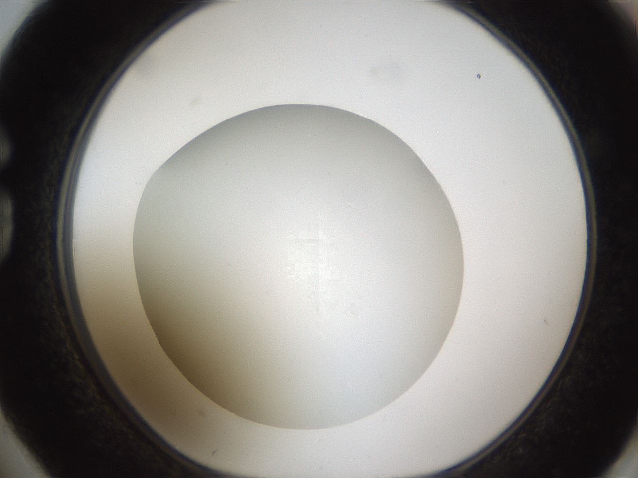 folderID302_plateID1302_batchID4299_wellNum74_profileID1_d1_r78369_ef.jpg