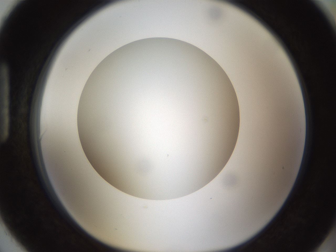 folderID302_plateID1302_batchID4299_wellNum90_profileID1_d1_r78385_ef.jpg