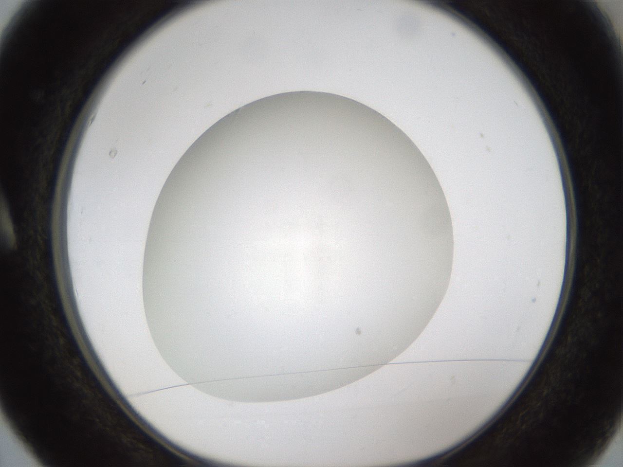 folderID302_plateID1302_batchID4299_wellNum5_profileID1_d1_r78300_ef.jpg