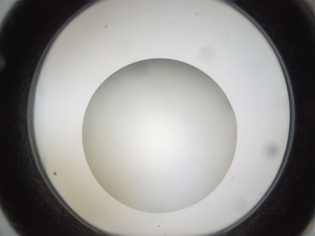 folderID302_plateID1302_batchID4299_wellNum62_profileID1_d1_r78357_ef.jpg