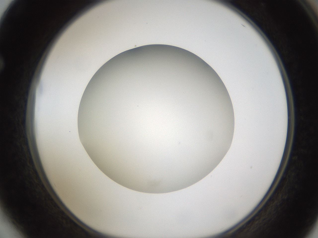 folderID302_plateID1302_batchID4299_wellNum64_profileID1_d1_r78359_ef.jpg