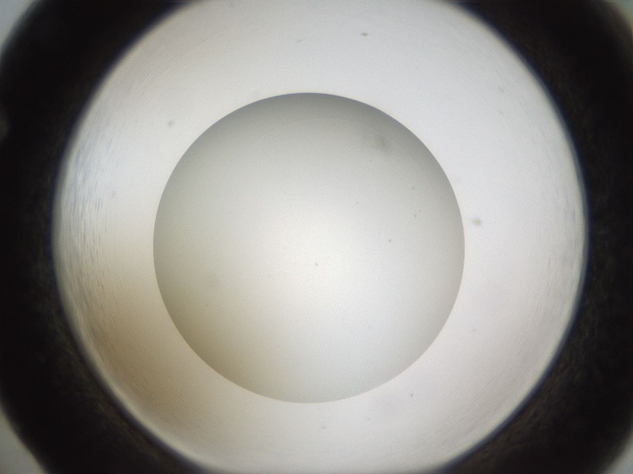 folderID302_plateID1302_batchID4299_wellNum65_profileID1_d1_r78360_ef.jpg