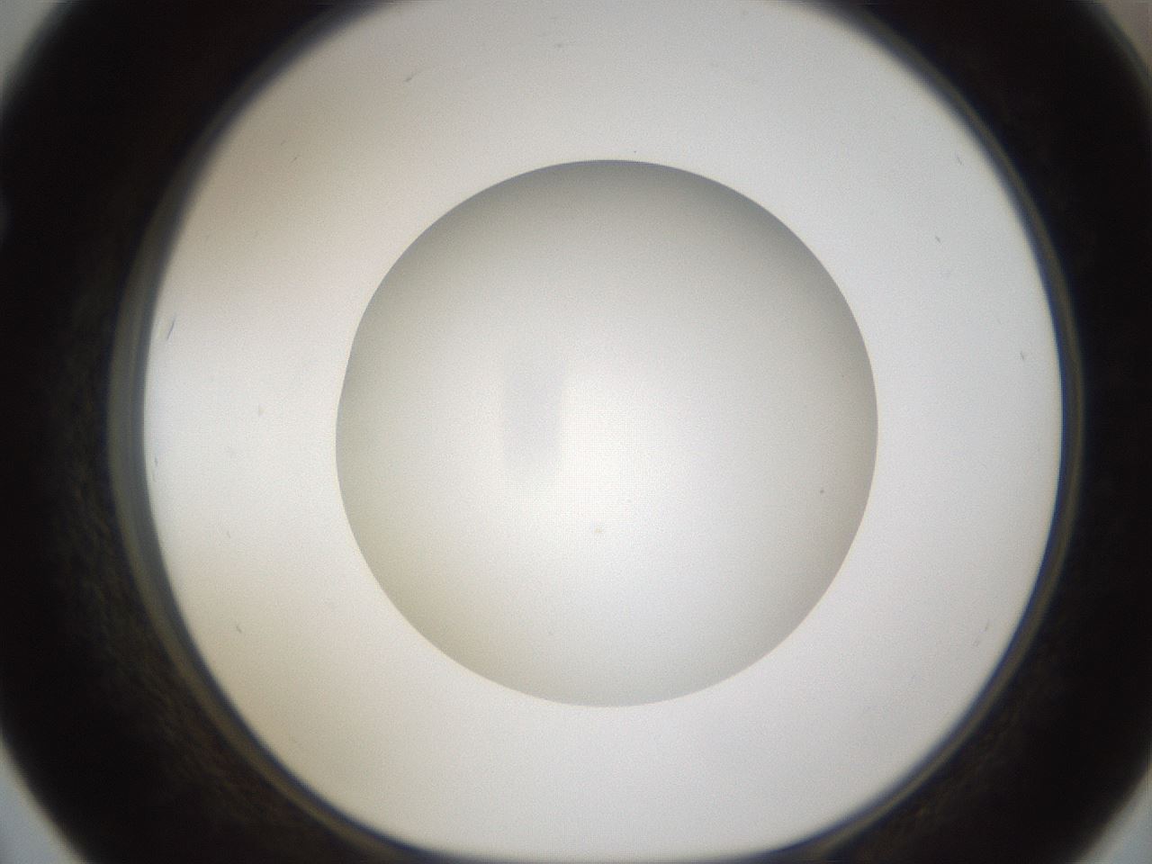 folderID302_plateID1302_batchID4299_wellNum67_profileID1_d1_r78362_ef.jpg