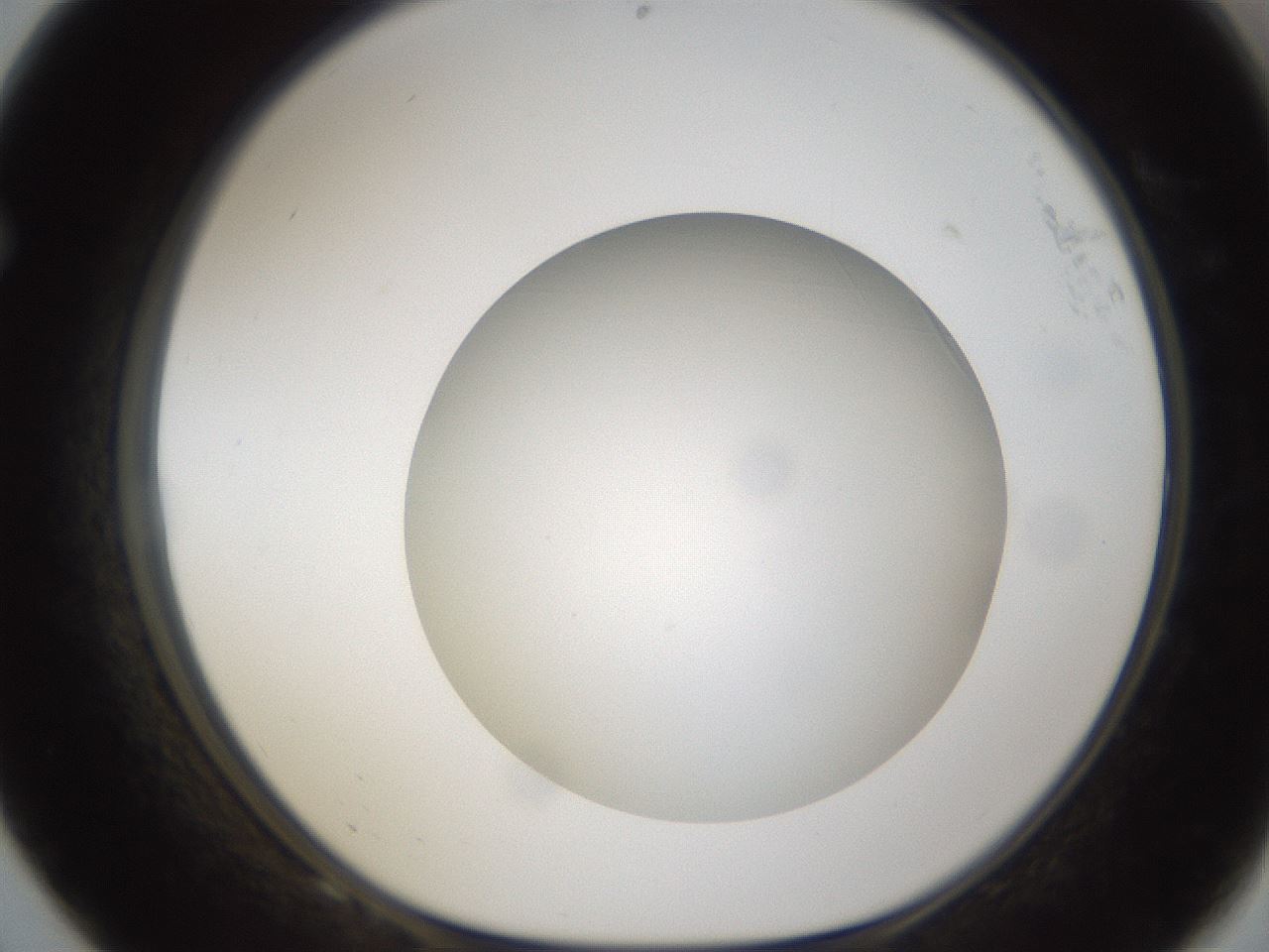 folderID302_plateID1302_batchID4299_wellNum68_profileID1_d1_r78363_ef.jpg