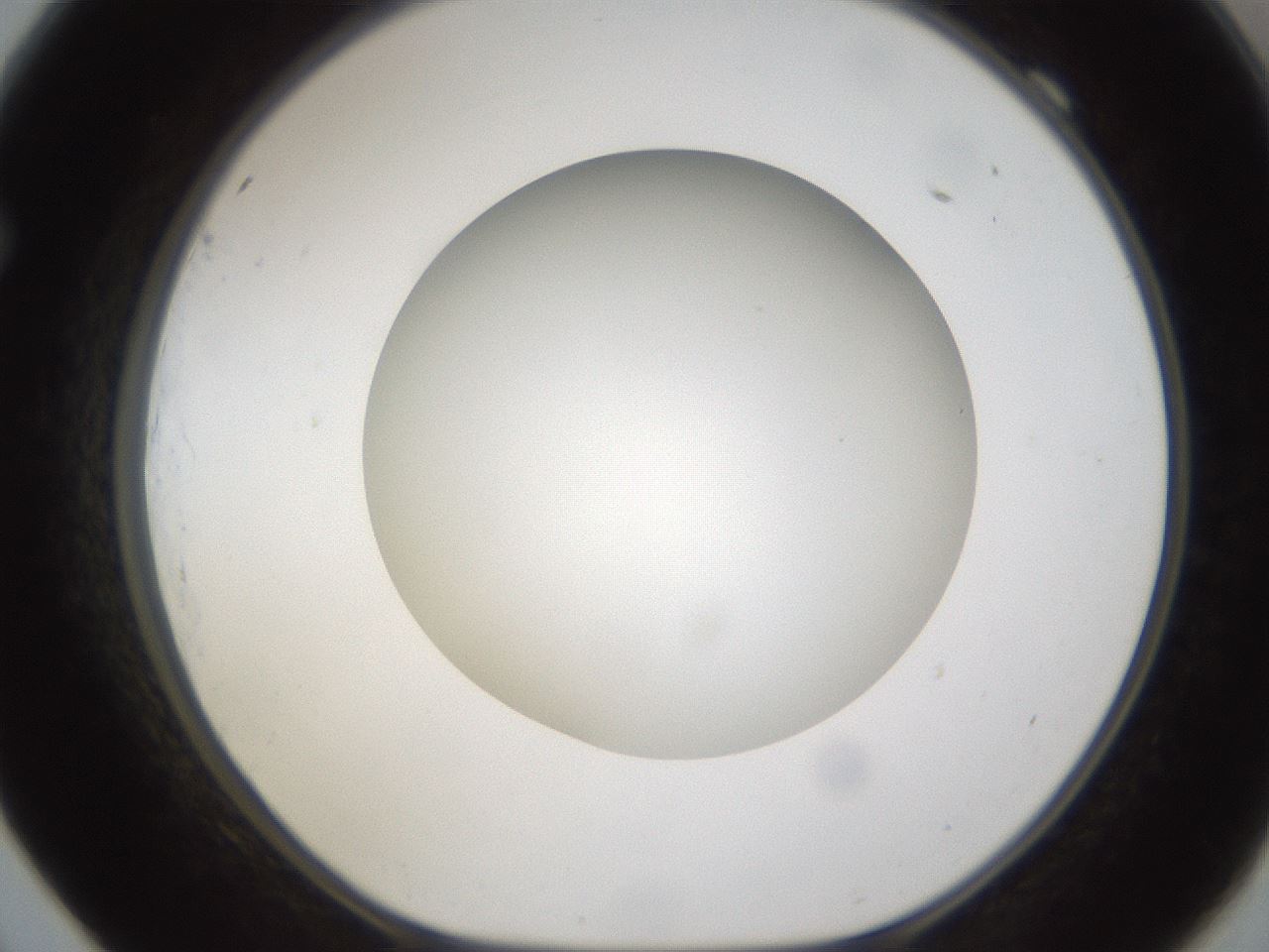 folderID302_plateID1302_batchID4299_wellNum69_profileID1_d1_r78364_ef.jpg