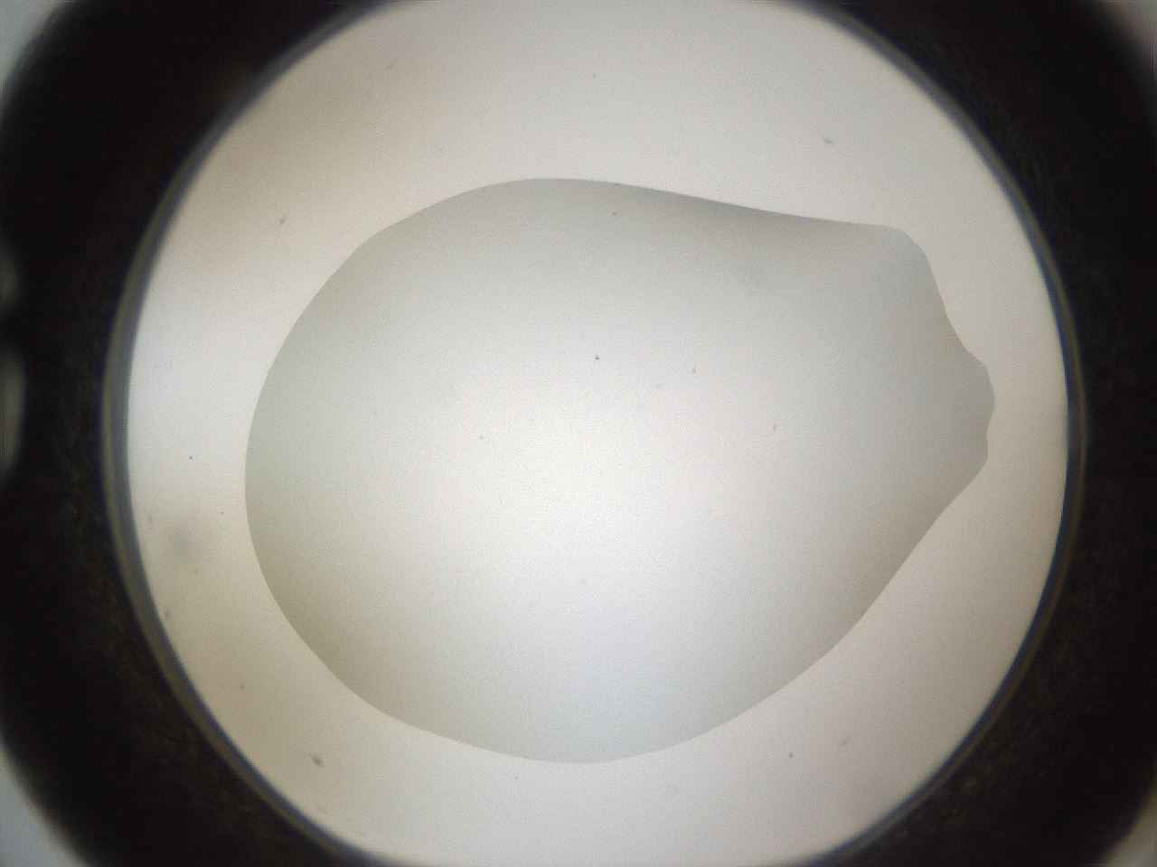 folderID302_plateID1302_batchID4299_wellNum75_profileID1_d1_r78370_ef.jpg