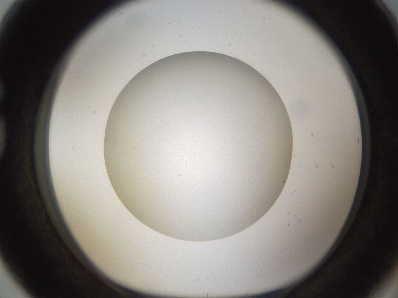 folderID302_plateID1302_batchID4299_wellNum80_profileID1_d1_r78375_ef.jpg