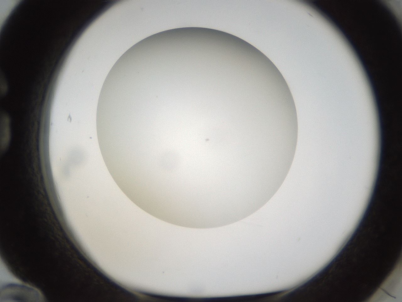 folderID302_plateID1302_batchID4299_wellNum84_profileID1_d1_r78379_ef.jpg