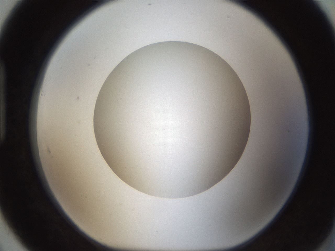 folderID302_plateID1302_batchID4299_wellNum91_profileID1_d1_r78386_ef.jpg