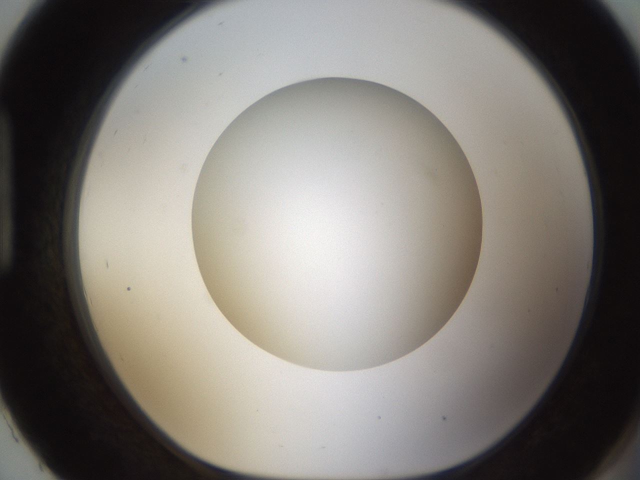 folderID302_plateID1302_batchID4299_wellNum93_profileID1_d1_r78388_ef.jpg