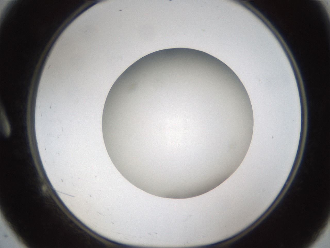 folderID302_plateID1302_batchID4299_wellNum9_profileID1_d1_r78304_ef.jpg