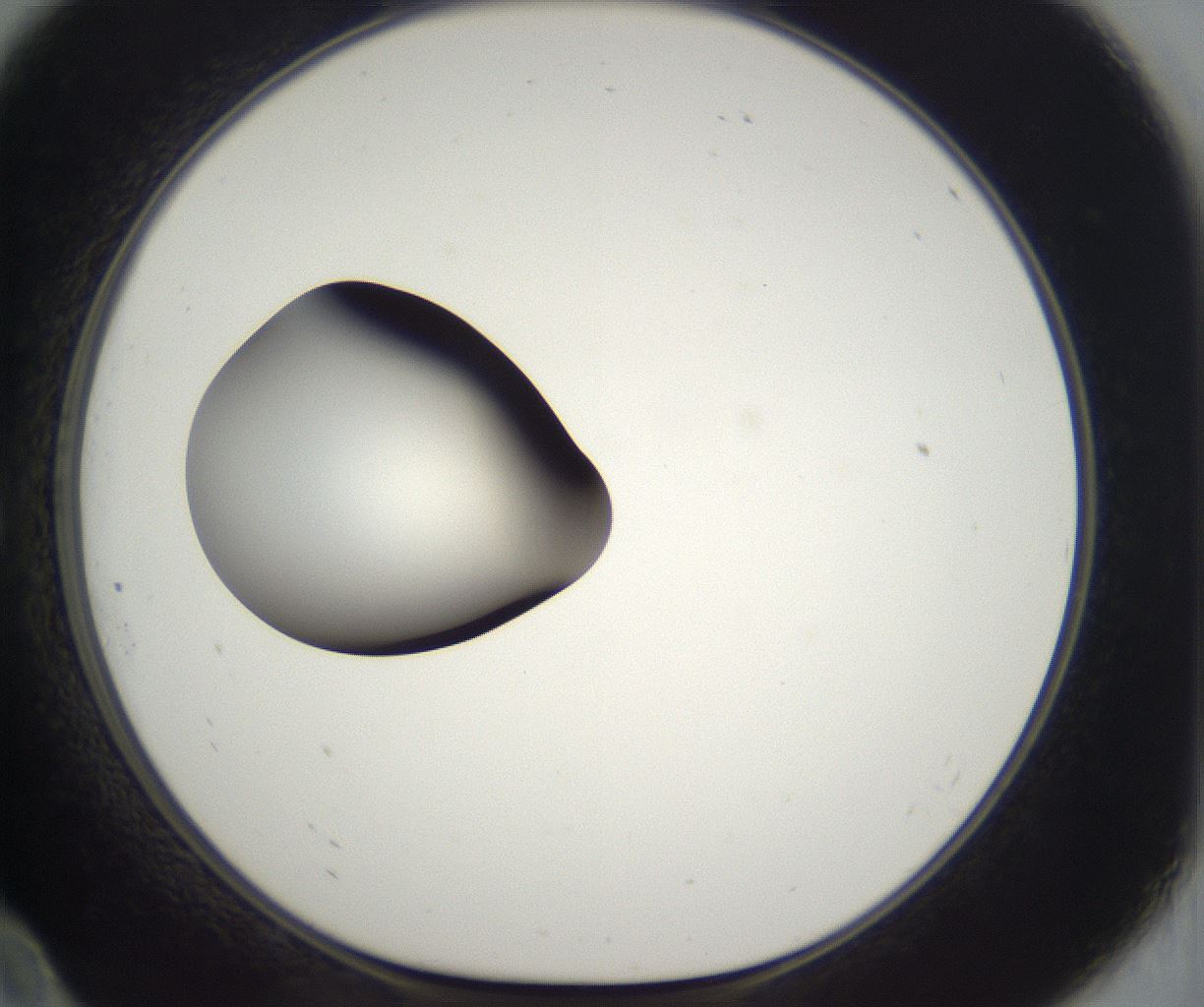 folderID302_plateID2302_batchID10855_wellNum10_profileID1_d1_r161719_ef.jpg