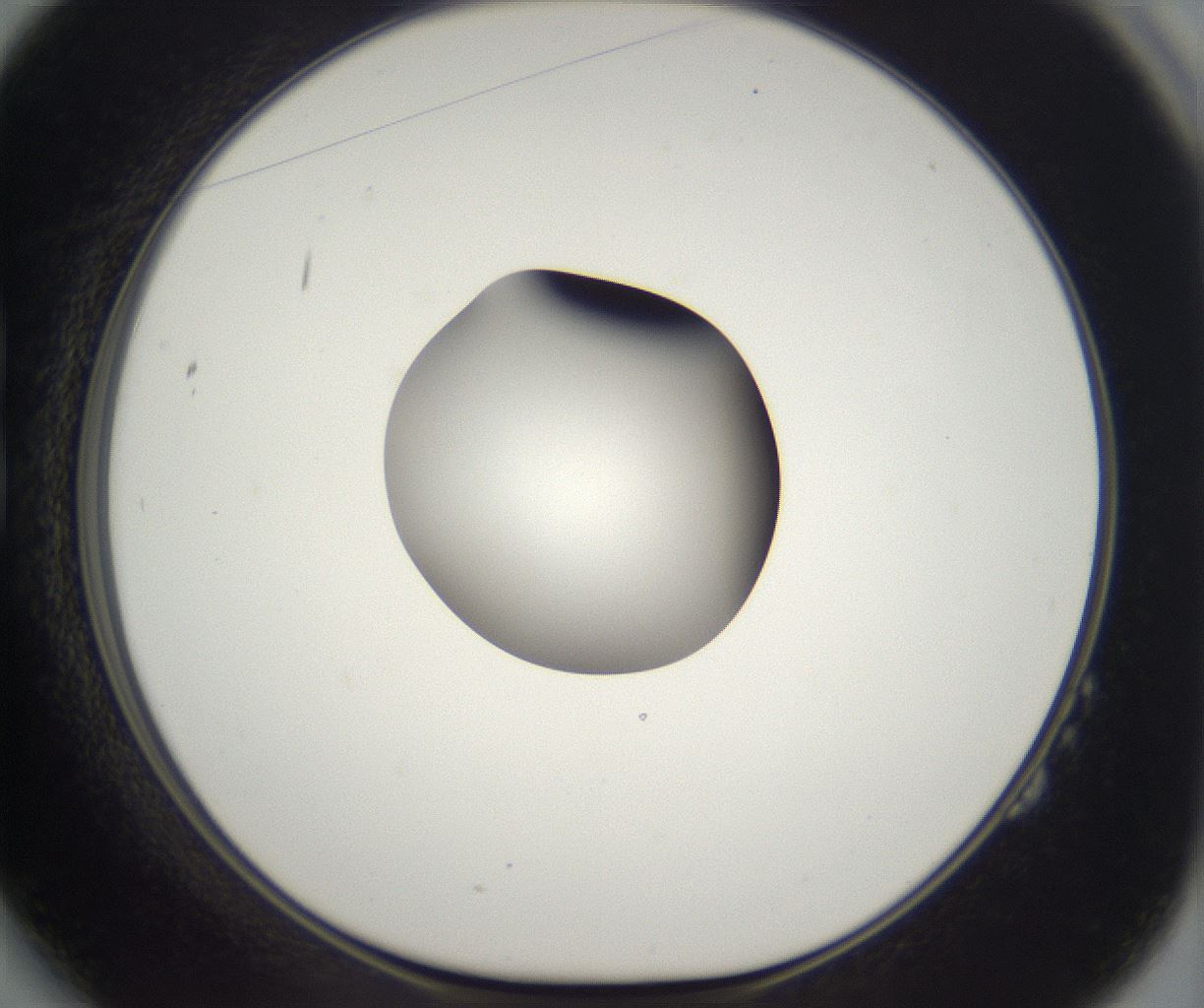 folderID302_plateID2302_batchID10855_wellNum14_profileID1_d1_r161723_ef.jpg