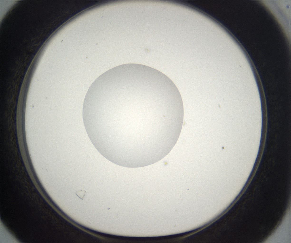 folderID302_plateID2302_batchID10855_wellNum16_profileID1_d1_r161725_ef.jpg