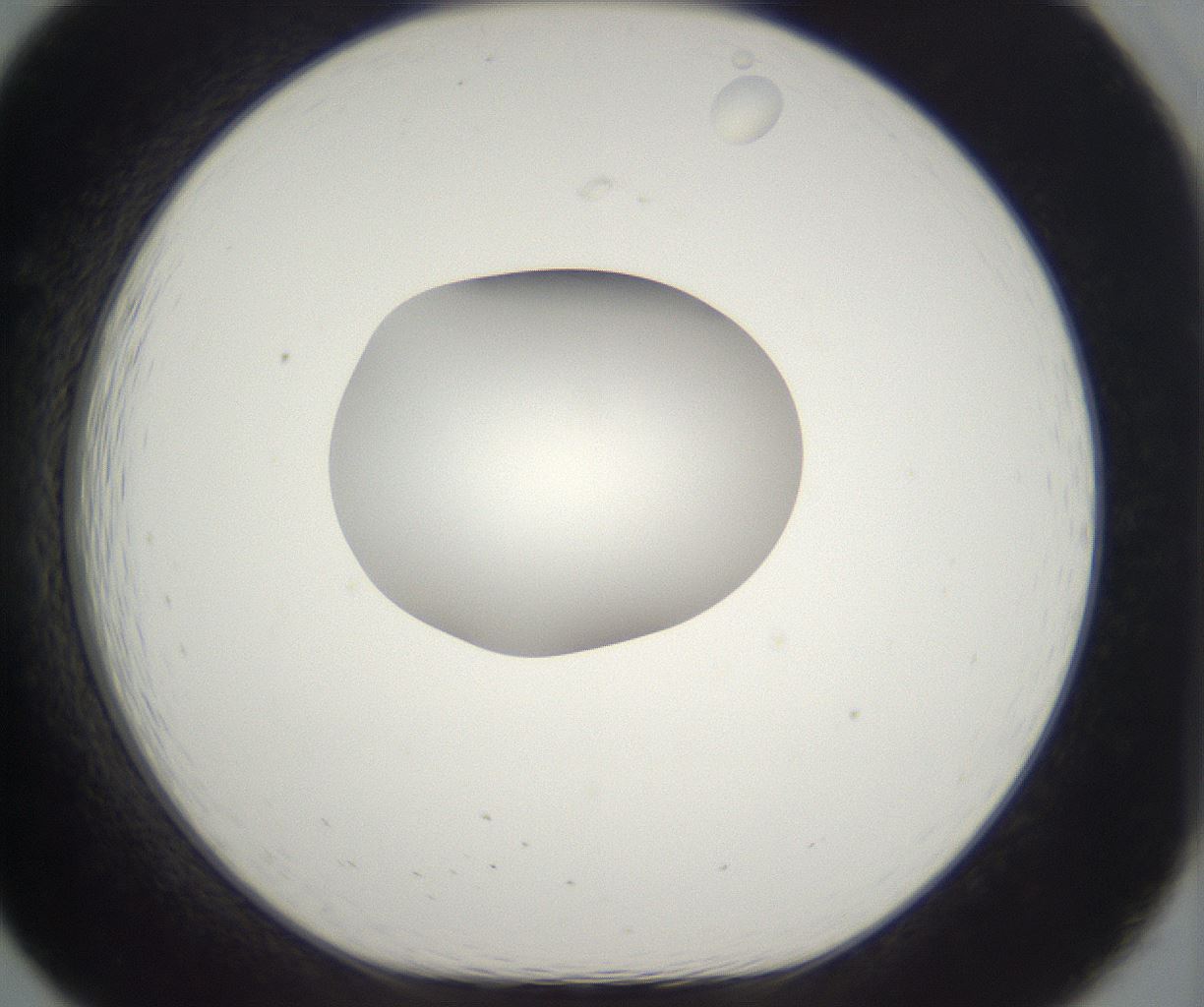 folderID302_plateID2302_batchID10855_wellNum19_profileID1_d1_r161728_ef.jpg