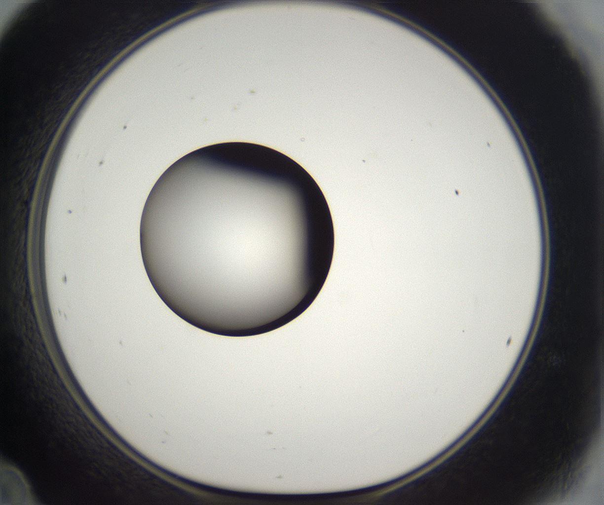 folderID302_plateID2302_batchID10855_wellNum24_profileID1_d1_r161733_ef.jpg