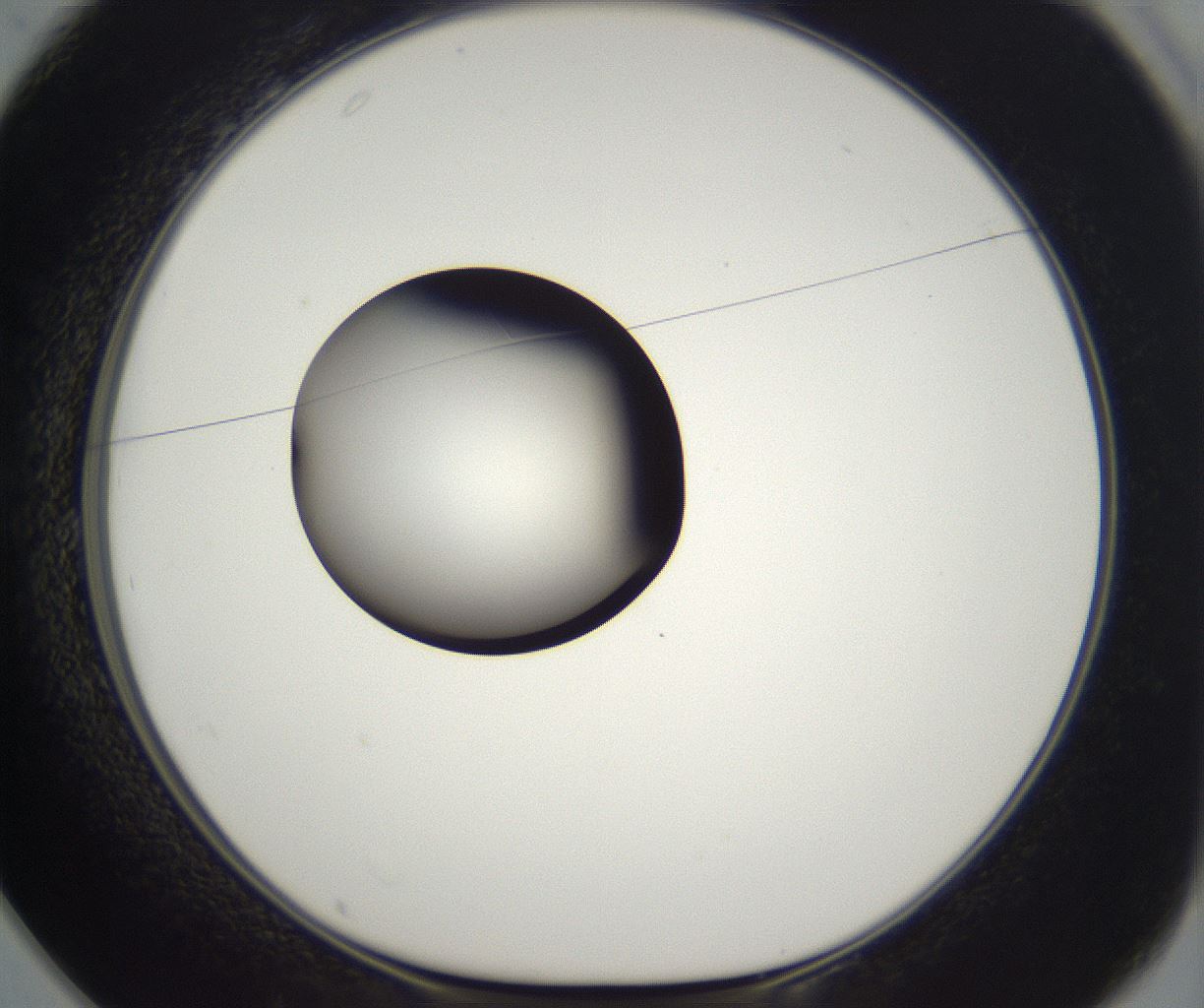 folderID302_plateID2302_batchID10855_wellNum25_profileID1_d1_r161734_ef.jpg