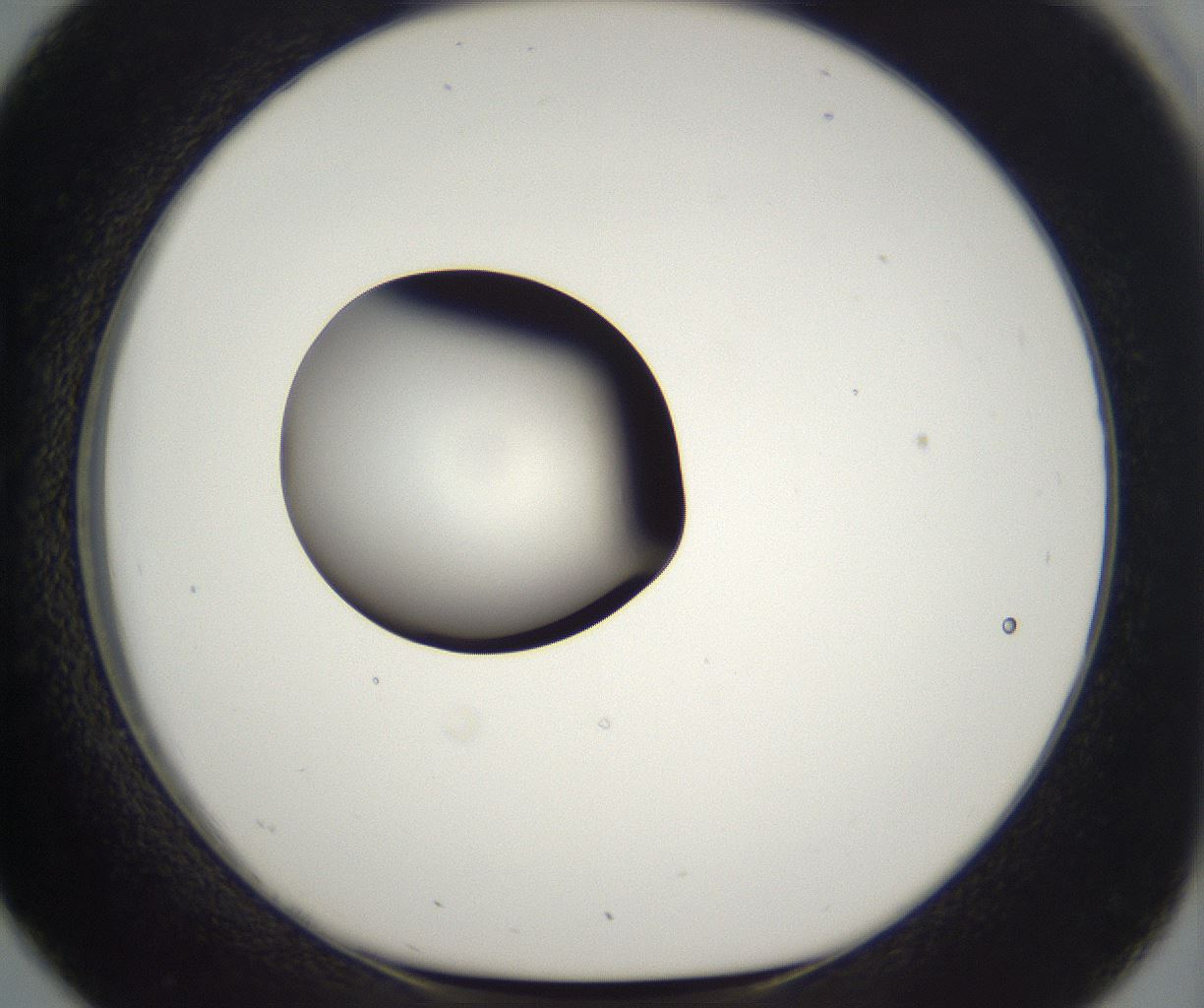folderID302_plateID2302_batchID10855_wellNum26_profileID1_d1_r161735_ef.jpg