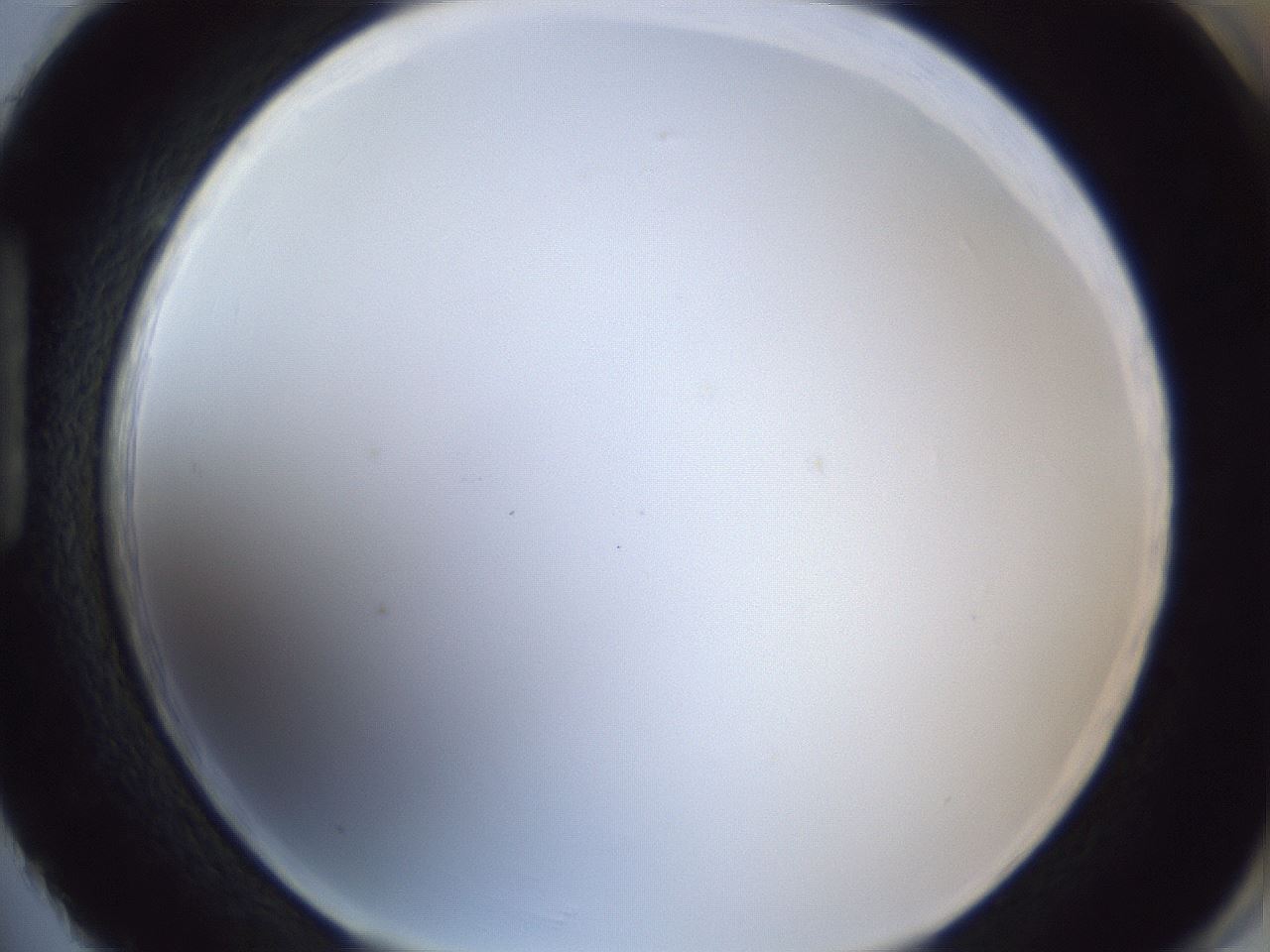 folderID166_plateID1166_batchID3069_wellNum86_profileID1_d1_r61449_ef.jpg