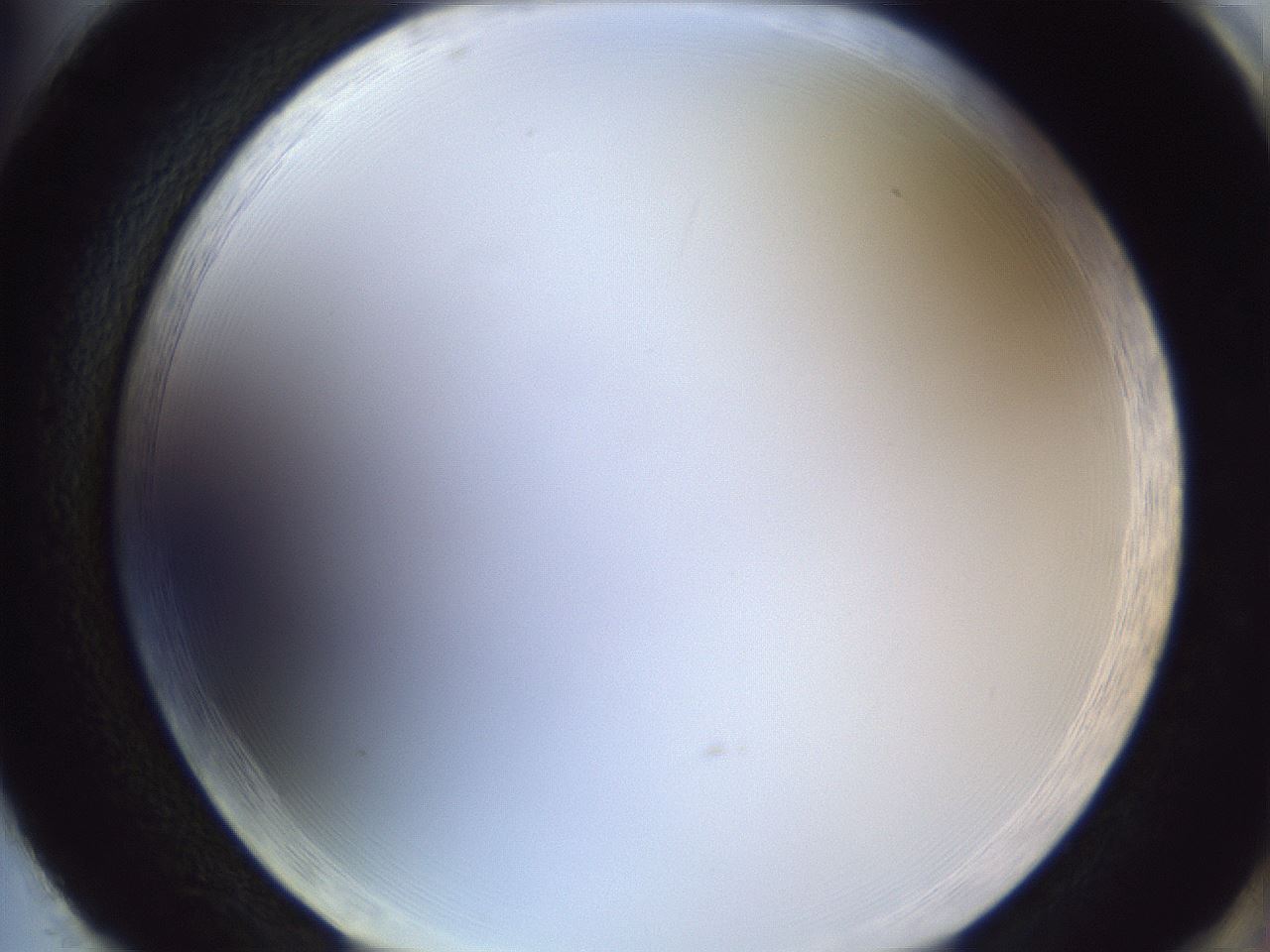 folderID166_plateID1166_batchID3069_wellNum86_profileID1_d2_r61450_ef.jpg