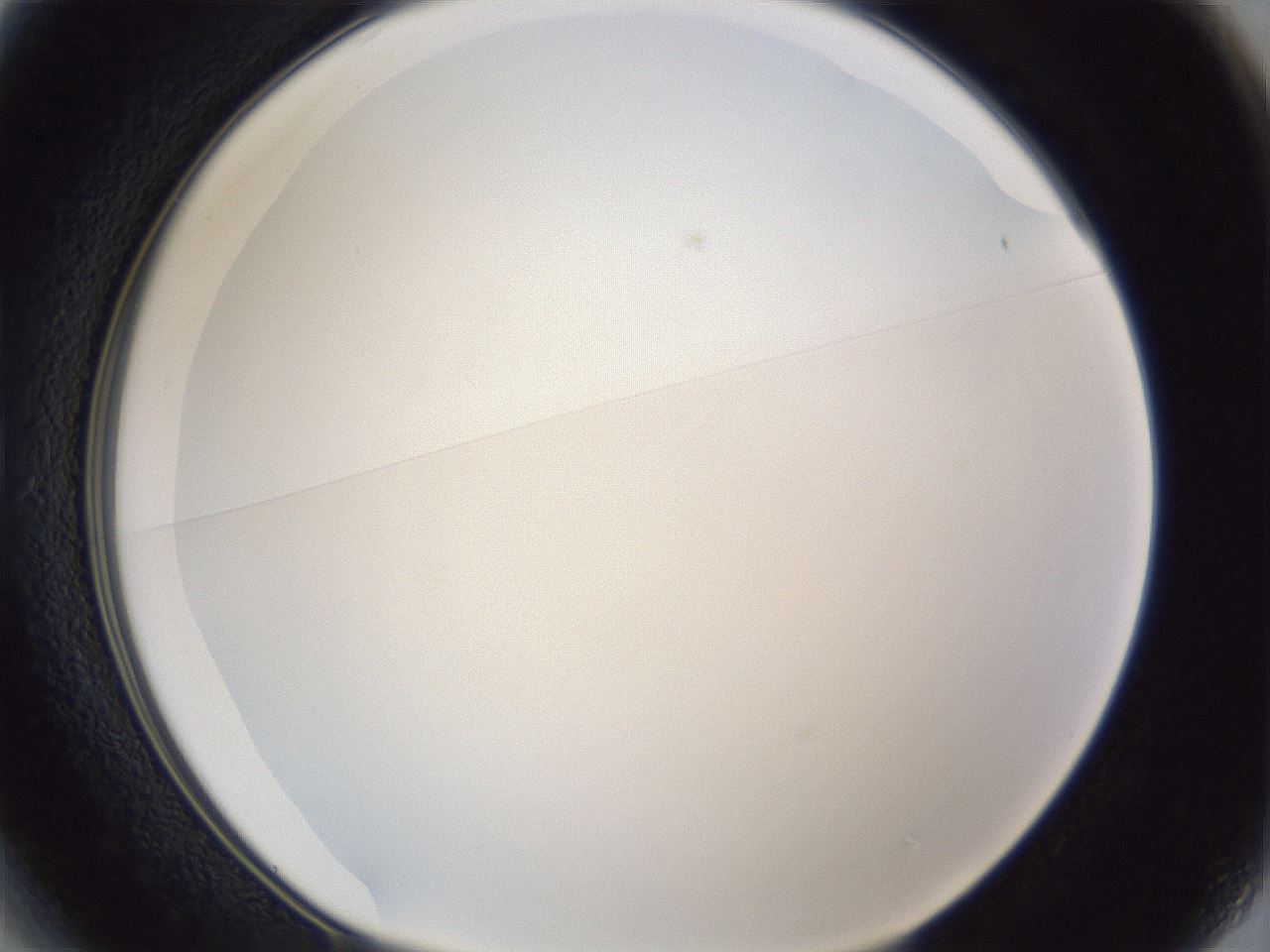 folderID166_plateID1166_batchID3122_wellNum13_profileID1_d1_r61303_ef.jpg