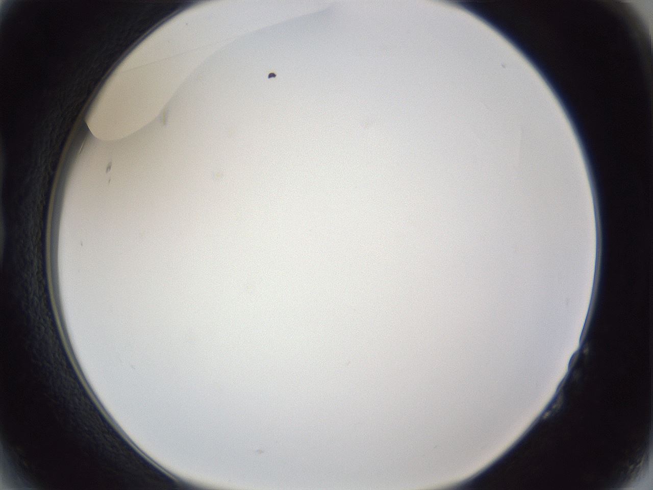 folderID166_plateID1166_batchID3122_wellNum14_profileID1_d1_r61305_ef.jpg