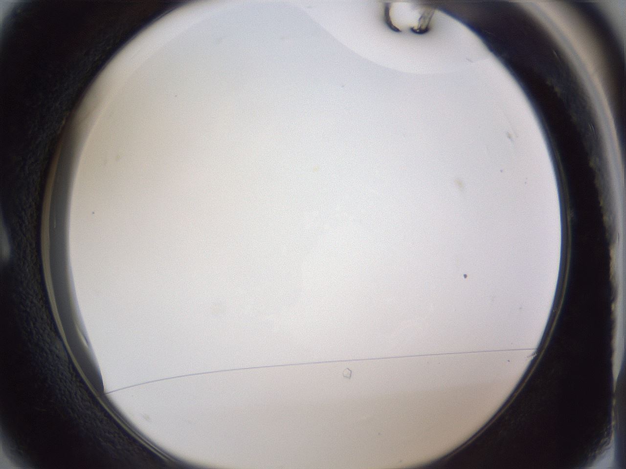 folderID166_plateID1166_batchID3122_wellNum1_profileID1_d1_r61279_ef.jpg
