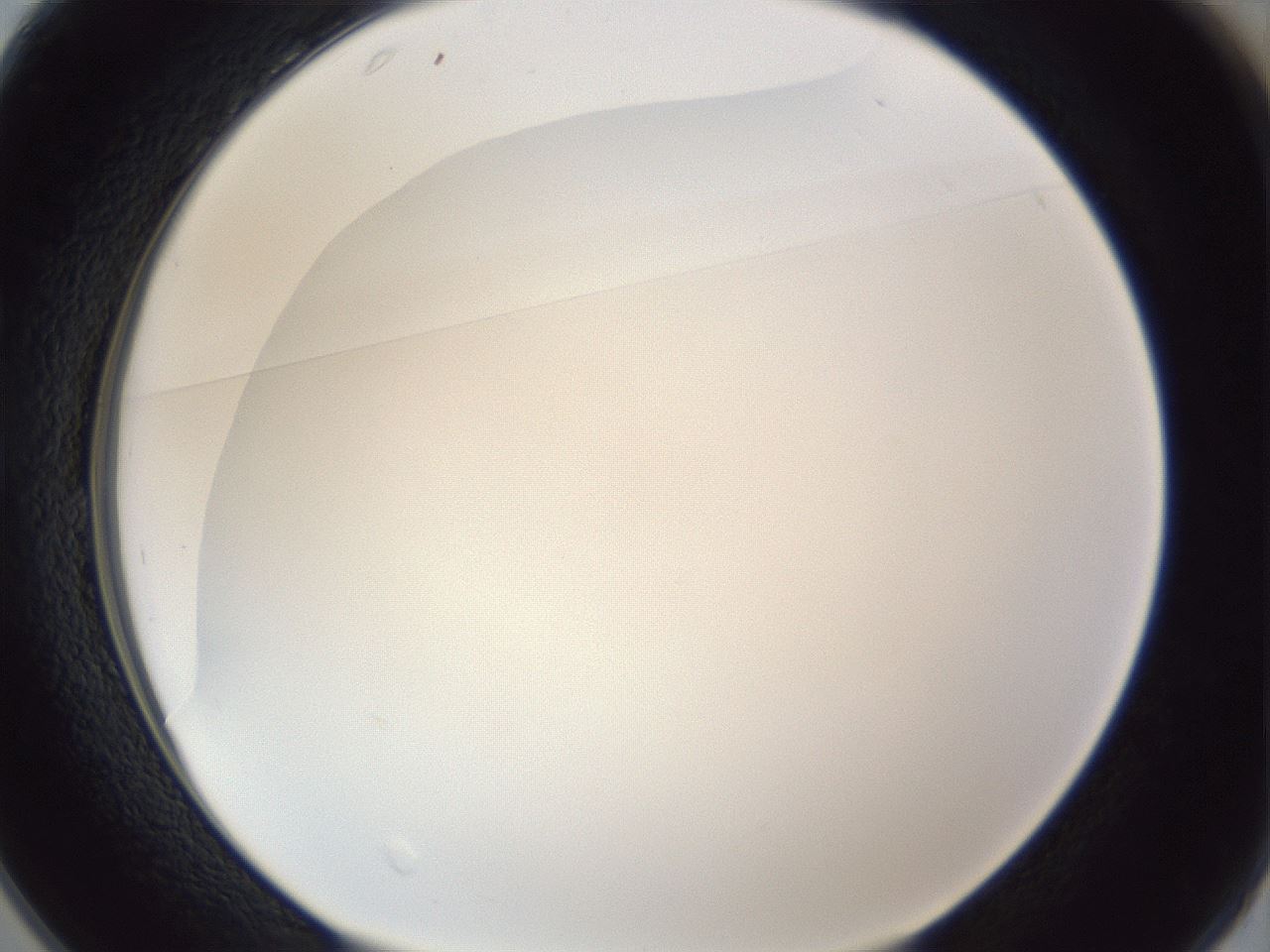 folderID166_plateID1166_batchID3122_wellNum25_profileID1_d1_r61327_ef.jpg