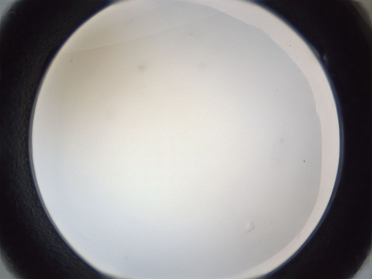 folderID166_plateID1166_batchID3122_wellNum49_profileID1_d1_r61375_ef.jpg
