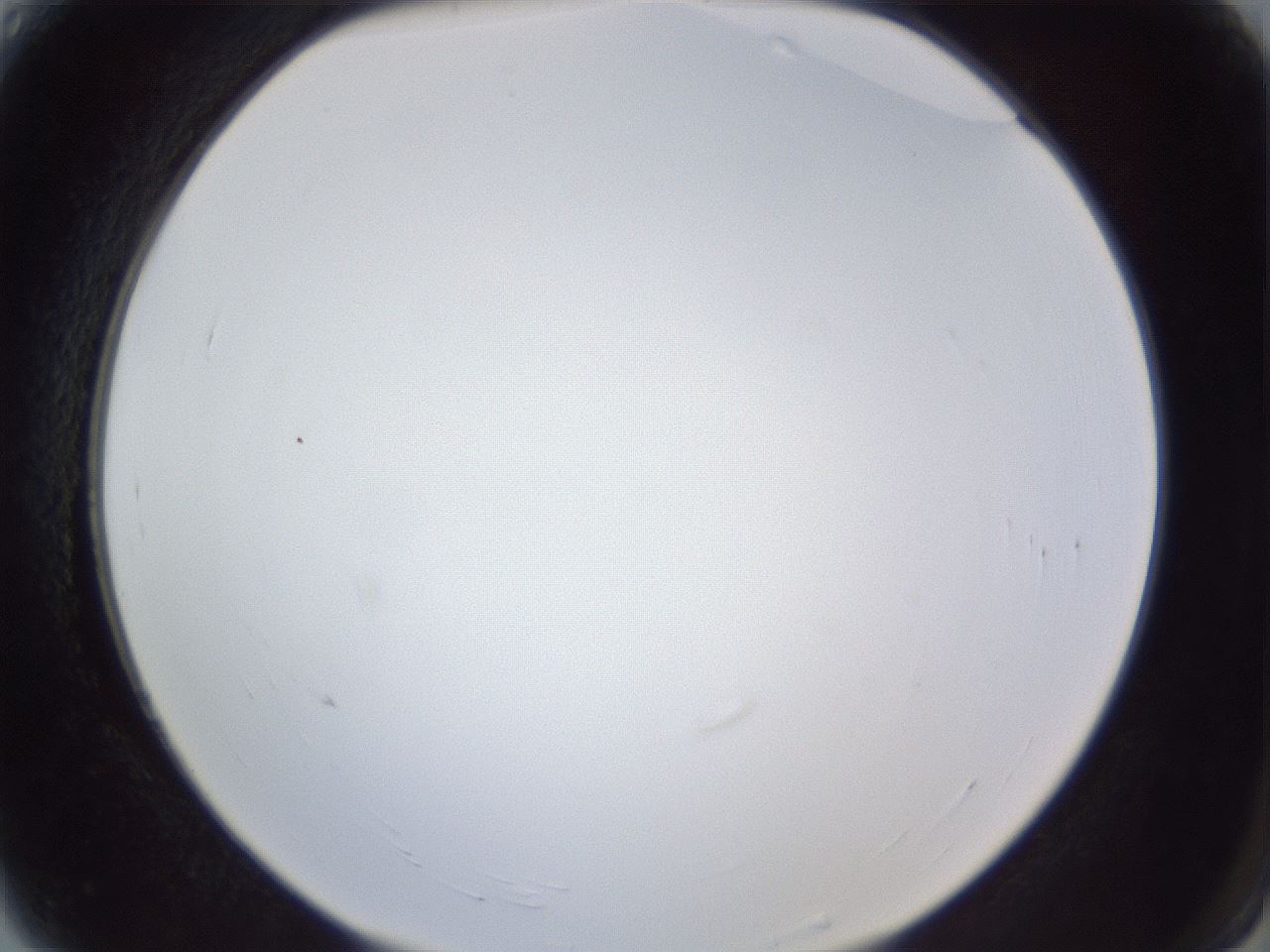 folderID166_plateID1166_batchID3122_wellNum4_profileID1_d2_r61286_ef.jpg