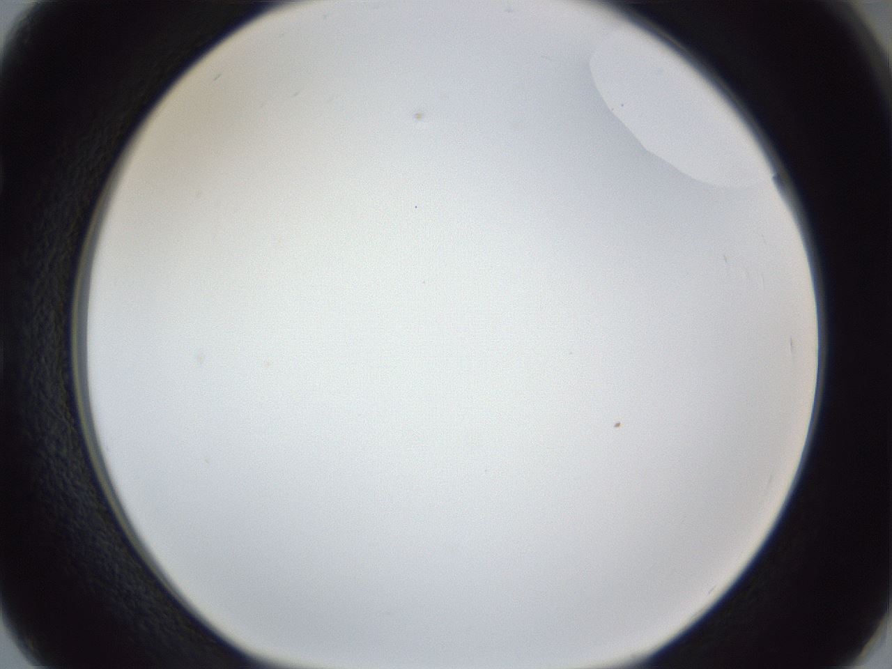 folderID166_plateID1166_batchID3122_wellNum50_profileID1_d1_r61377_ef.jpg