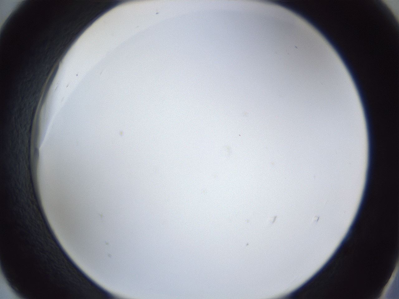 folderID166_plateID1166_batchID3122_wellNum52_profileID1_d2_r61382_ef.jpg