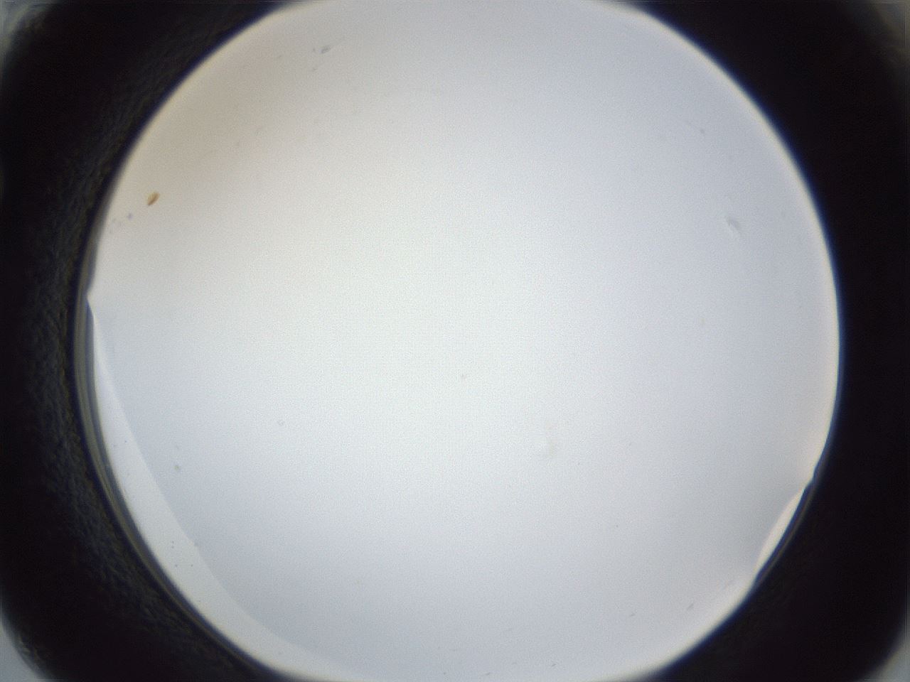 folderID166_plateID1166_batchID3122_wellNum61_profileID1_d1_r61399_ef.jpg