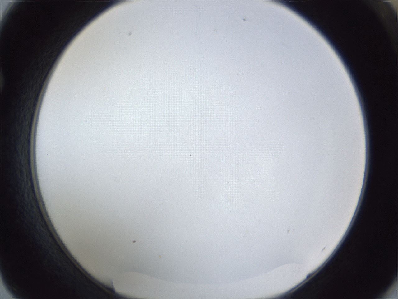 folderID166_plateID1166_batchID3122_wellNum62_profileID1_d1_r61401_ef.jpg