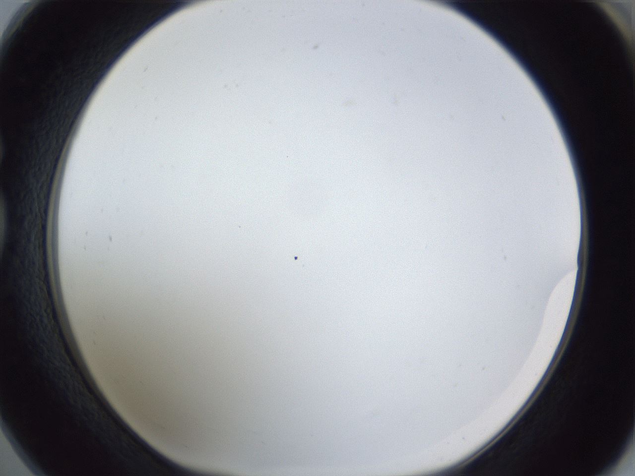 folderID166_plateID1166_batchID3122_wellNum73_profileID1_d1_r61423_ef.jpg