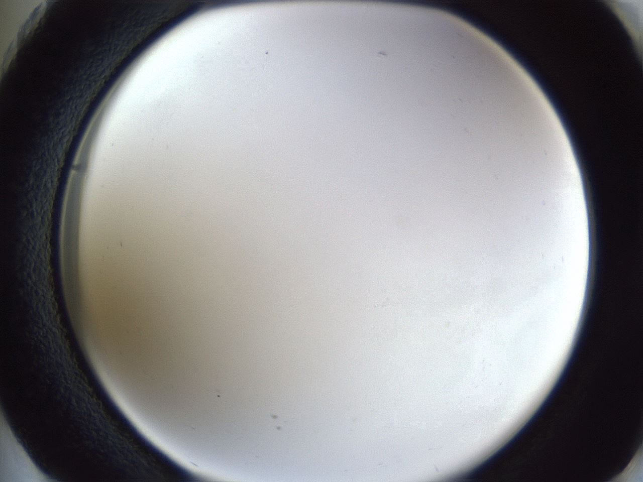 folderID166_plateID1166_batchID3122_wellNum73_profileID1_d2_r61424_ef.jpg