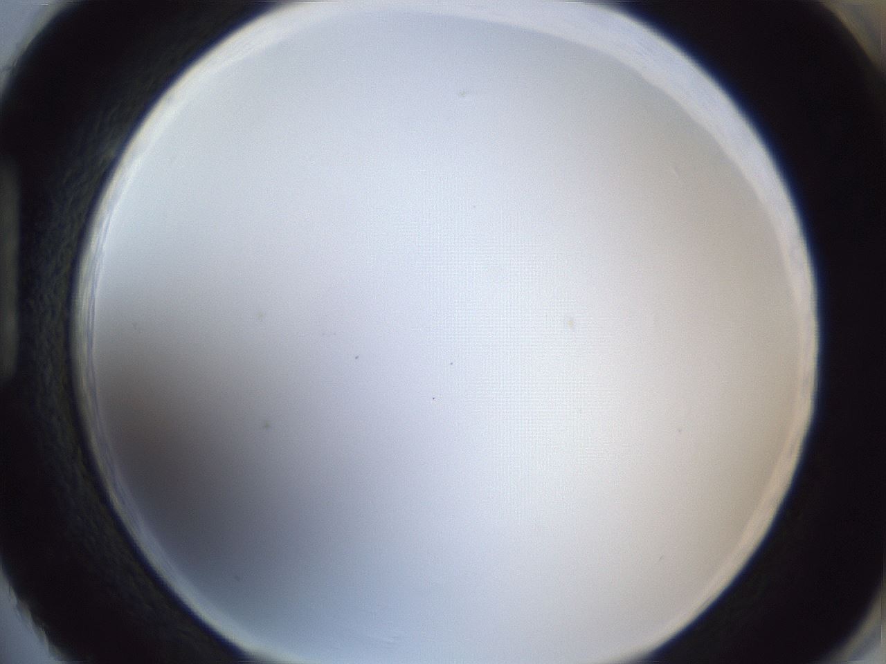 folderID166_plateID1166_batchID3122_wellNum86_profileID1_d1_r61449_ef.jpg