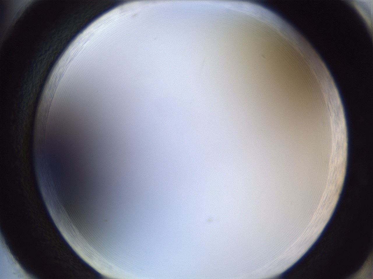 folderID166_plateID1166_batchID3122_wellNum86_profileID1_d2_r61450_ef.jpg