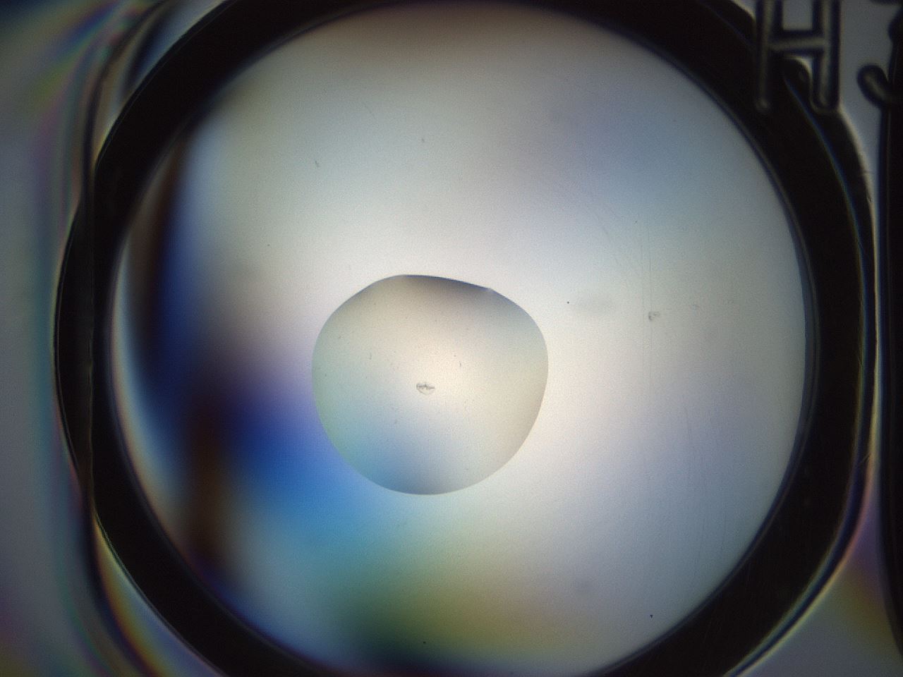 folderID166_plateID2166_batchID9560_wellNum45_profileID1_d1_r145747_ef.jpg