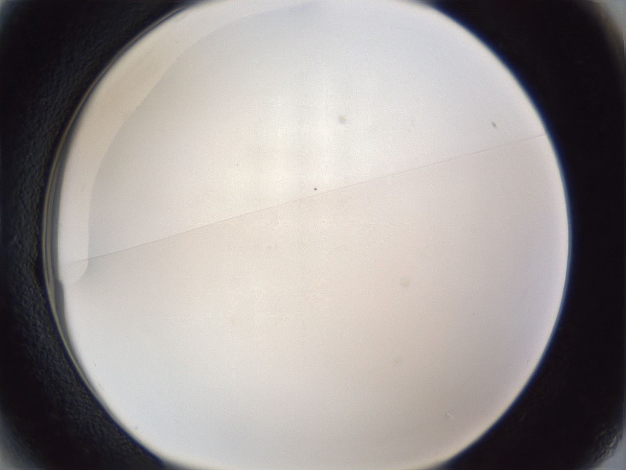 folderID167_plateID1167_batchID3070_wellNum13_profileID1_d1_r61495_ef.jpg