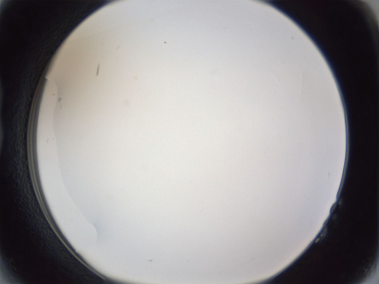 folderID167_plateID1167_batchID3070_wellNum14_profileID1_d1_r61497_ef.jpg